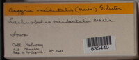 Image Associated With the Occurence